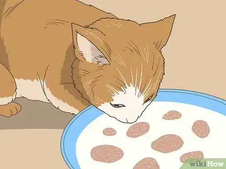 Imagen titulada Make Kitten Formula Step 15