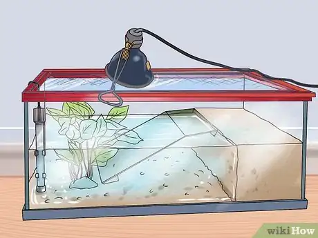 Imagen titulada Make a Turtle Environment Step 10