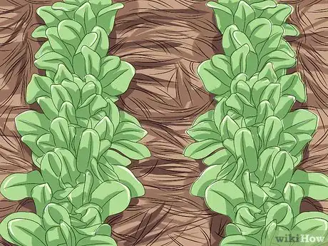Imagen titulada Prevent Soil Erosion Step 11