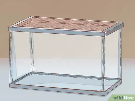 Imagen titulada Care for Turtles Step 1