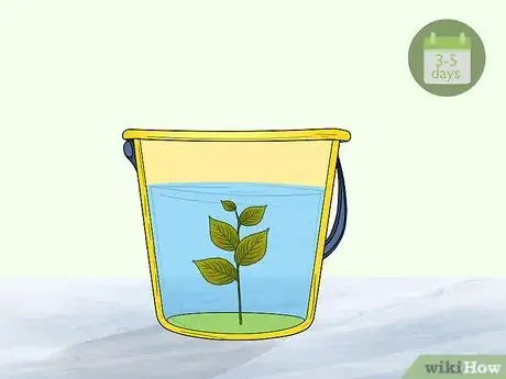 Imagen titulada Preserve Fall Leaves Step 13