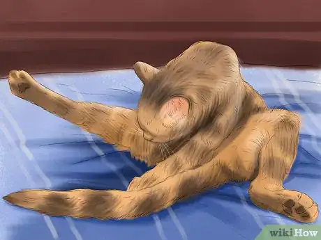 Imagen titulada Retrain a Cat to Use the Litter Box Step 18