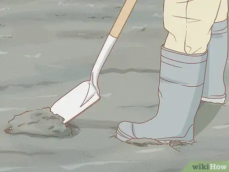 Imagen titulada Dig for Clams Step 13