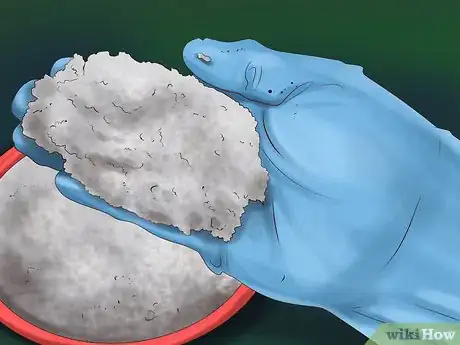Imagen titulada Kill Fleas and Ticks on Cats Step 18