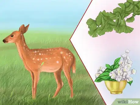 Imagen titulada Kill Fleas and Ticks on Cats Step 16