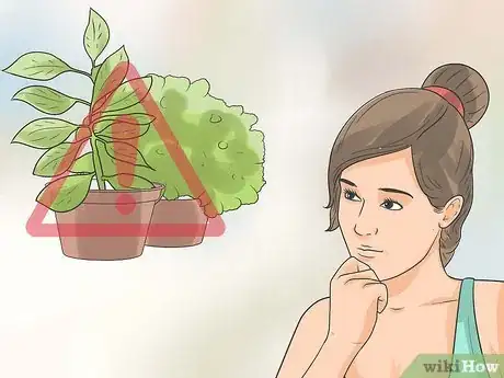 Imagen titulada Detox Your Lungs Naturally Step 5