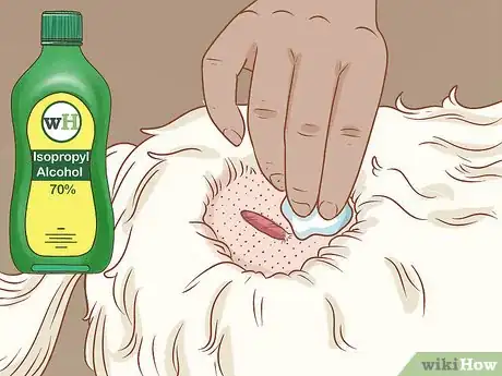 Imagen titulada Remove a Dog’s Skin Tags at Home Step 3