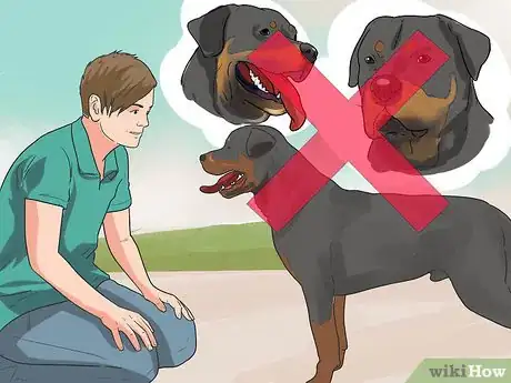 Imagen titulada Diagnose Dysplasia in Rottweilers Step 9