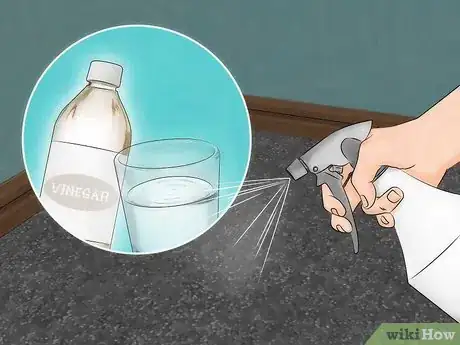 Imagen titulada Get Rid of Fleas in Carpets Step 8