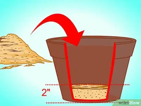 Imagen titulada Transplant a Jade Plant Step 6