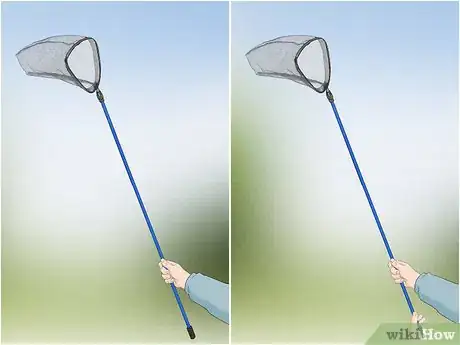 Imagen titulada Catch Dragonflies Step 2