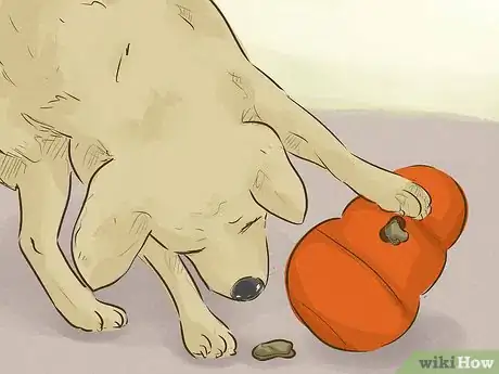 Imagen titulada Keep Your Dog Happy Step 1