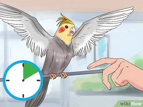 Imagen titulada Train Cockatiels Step 3