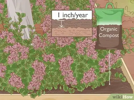 Imagen titulada Create Tree Flower Beds Step 13