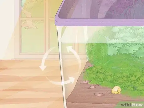 Imagen titulada Make a Closed Aquatic Ecosystem Step 2