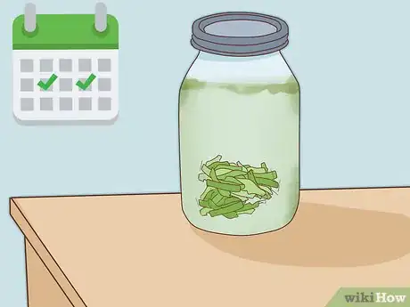 Imagen titulada Make Infusoria Step 6