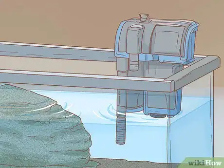Imagen titulada Care for Turtles Step 6