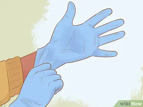 Imagen titulada Prune a Rubber Plant Step 3