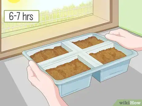 Imagen titulada Grow Onions Indoors Step 12