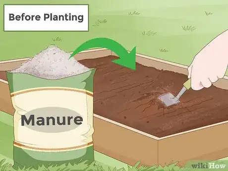 Imagen titulada Grow Soybeans Step 4