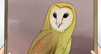 jugar a la búsqueda del tesoro