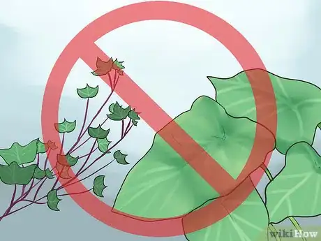 Imagen titulada Avoid Poisoning Your Guinea Pig Step 5