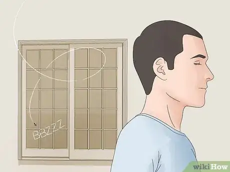 Imagen titulada Catch a Fly With Your Hands Step 1