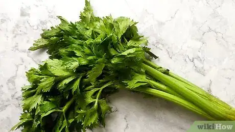 Imagen titulada Freeze Celery Step 1