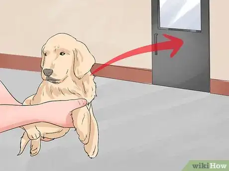 Imagen titulada Train a Golden Retriever Puppy Step 14