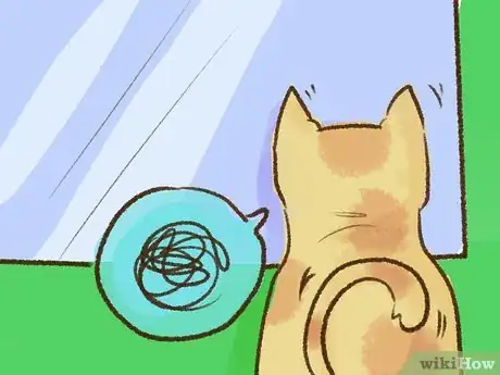 Imagen titulada Stop a Kitten from Biting Step 10
