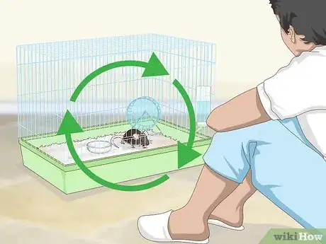 Imagen titulada Tame a Rat Step 10