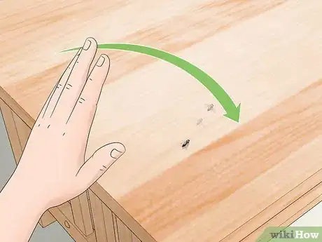 Imagen titulada Catch a Fly With Your Hands Step 6