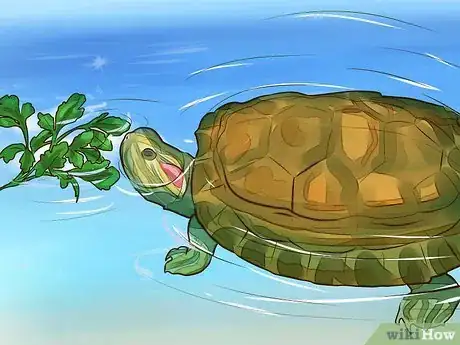 Imagen titulada Know What to Feed a Turtle Step 9