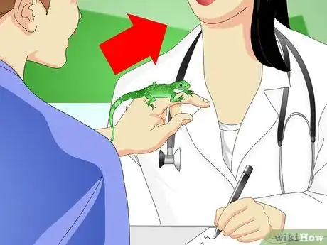 Imagen titulada Care for Your Lizard Step 9