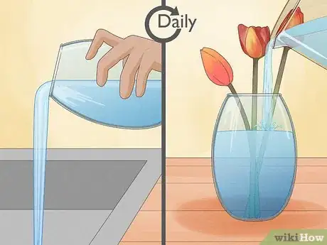 Imagen titulada Prune Tulips Step 10
