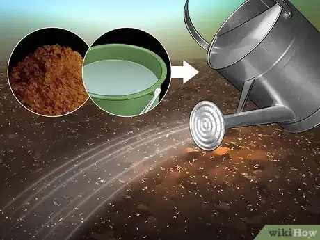 Imagen titulada Increase Nitrogen in Soil Step 13