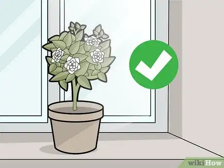 Imagen titulada Care for Gardenias Step 14