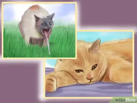 Imagen titulada Retrain a Cat to Use the Litter Box Step 19
