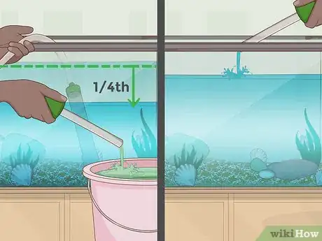 Imagen titulada Care for a Clown Fish Step 15