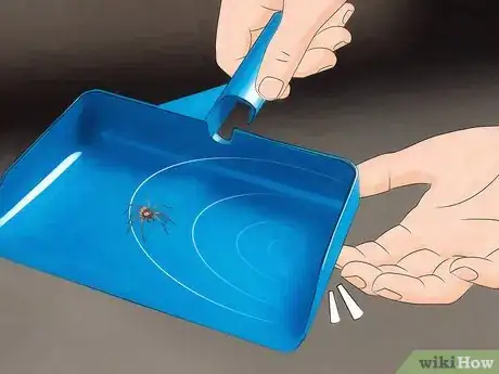 Imagen titulada Get Spiders Out of Your House Without Killing Them Step 12