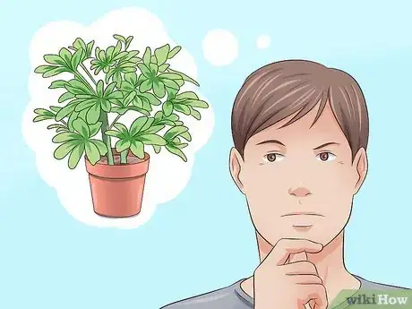 Imagen titulada Prune a Schefflera Plant Step 2