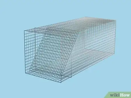 Imagen titulada Trap Raccoons Step 1