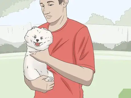 Imagen titulada Express a Paralyzed Dog's Bladder Step 10