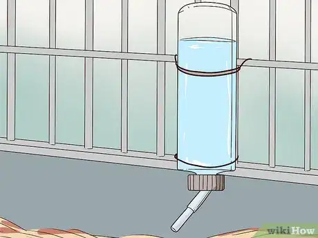 Imagen titulada Care for a Hamster Step 12