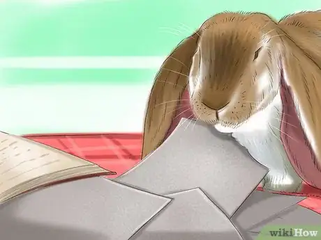 Imagen titulada Raise a Lop Eared Rabbit As a Pet Step 13