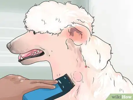 Imagen titulada Treat Hot Spots in Dogs Step 6