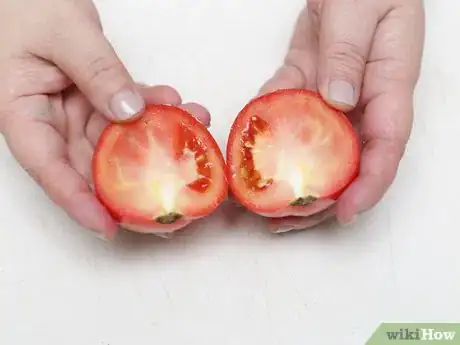 Imagen titulada Seed Tomatoes Step 5