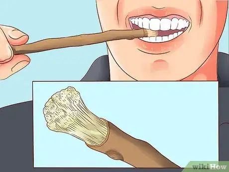 Imagen titulada Use Miswak Step 2