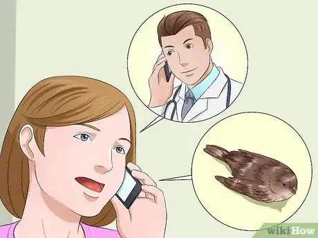 Imagen titulada Care for an Injured Wild Bird That Cannot Fly Step 14