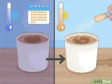 Imagen titulada Transplant Daffodils Step 12